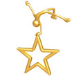 Jump For Joy Star