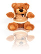 Teddy bear isolated on white background Teddy bear isolated on white background