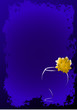 Glass with a flower