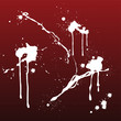 Splash