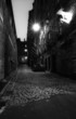 A dark street with an illuminated cow A dark street with an illuminated cow