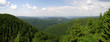 Thüringer Wald