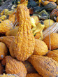 Kürbis