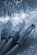 network cable