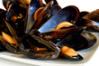 Cooked mussels Cooked mussels