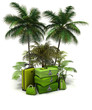 Pack voyage valise 4