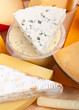 Various types of cheese Various types of cheese