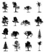 Set of trees