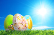 Colorful easter eggs in nature