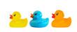 Three ducks toy of different colors