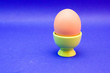egg in green eggcup  isolated on blue. easter