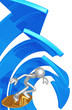 Surfing Market Arrow Barrel