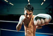 Photo: boxing boxing