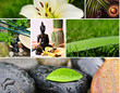 Azjatyckie wellness – spa w klimacie medytacji
