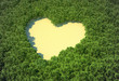 Heart-shaped clearing in a forest