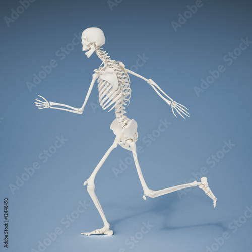 Photo: Running human skeleton Running human skeleton