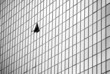 skyscraper in center of Telaviv, one open window