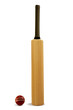 cricket bat and ball