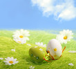 Easter Eggs sitting on grass