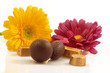 chocolat
