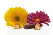chocolat