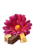chocolat
