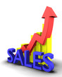 Statistics graphic with sales word