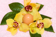 easter egg with yellow orchids