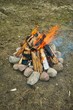 Campfire close-up
