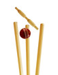 Cricket match