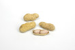 peanut peanut