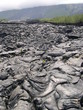 Coulée de lave Ile de la Réunion