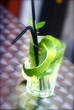 mojito mojito
