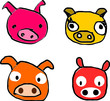 pig