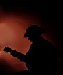 Guitar Player Guitar Player