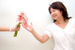 Asian lady reaching out for pink gerbera