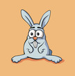 vector rabbit vector rabbit