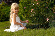 Little Angel in the Garden