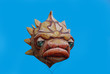 ballon au carnaval