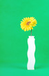 Zen's  Flower