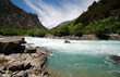 Rapid Torrent