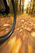 Bicycle riding, low angle motion blur