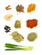 Spice collection isolated on white background
