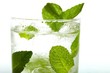 Mint ice vodka