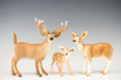 Animals family in the studio