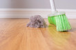 Spring Cleaning Spring Cleaning