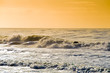 Surfer's Paradiese