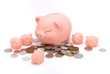 piggy bank