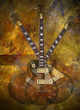 Electric guitar on flaming background