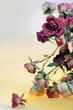 Dried roses